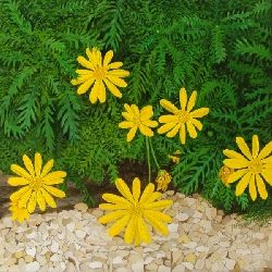 Primavera 3